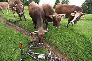 2618332732_a67da51a55_o