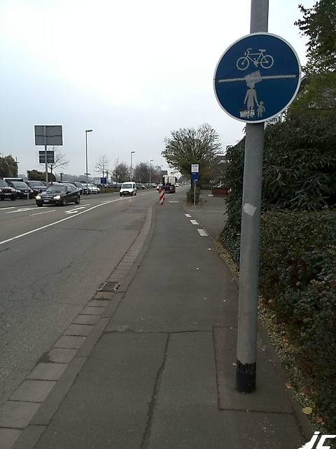 Bingen_Hin02