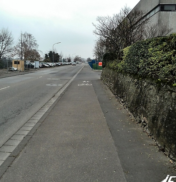 Bingen_Hin03
