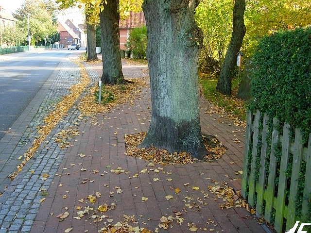 09_Bleckede