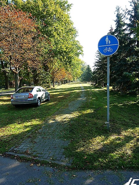 Gedelitz_4