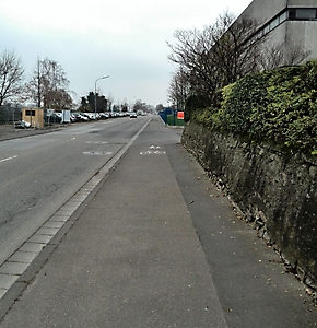 Bingen_Hin03
