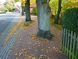 09_Bleckede