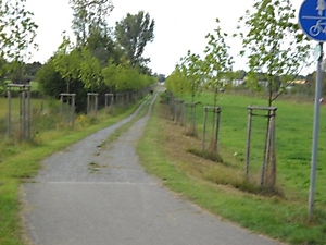 09_Bild 4